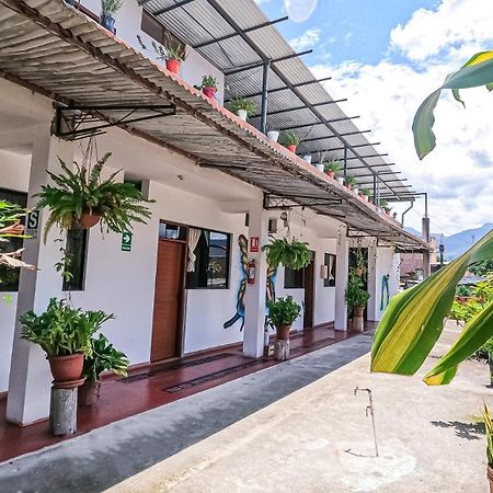 Hotel Shoffi'S House Backpackers Tarapoto Zewnętrze zdjęcie