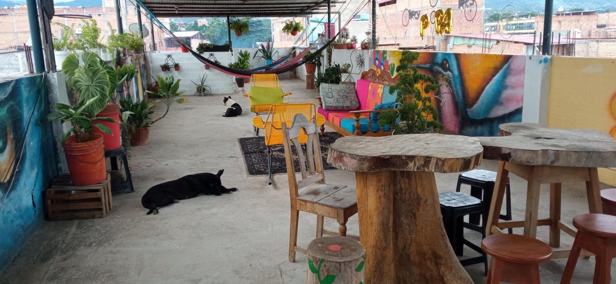 Hotel Shoffi'S House Backpackers Tarapoto Zewnętrze zdjęcie